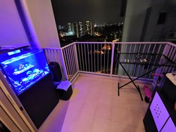 Blk 138C Lake Vista @ Yuan Ching (Jurong West), HDB 3 Rooms #223273521